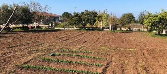 1000m² Land in Drapia, Italy No. 252163 5