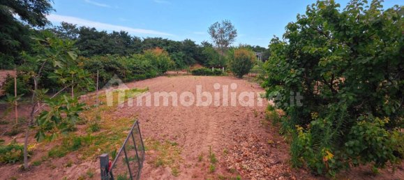 3 Schlafzimmer Haus in Mortara, Italy, Nr. 282338 49