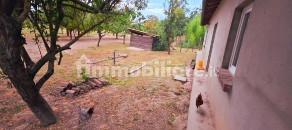 3 Schlafzimmer Haus in Mortara, Italy, Nr. 282338 45