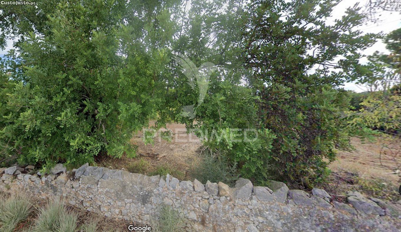 270m² Land in Sao Bras de Alportel, Portugal No. 86291