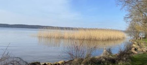 1 bedroom House in Mecklenburg–Western Pomerania, Germany No. 129200 2