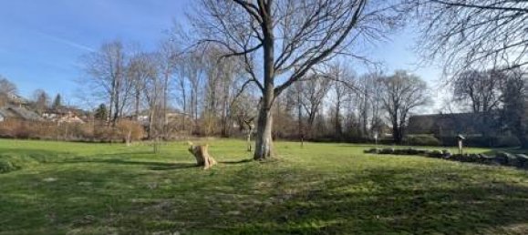 1 bedroom House in Mecklenburg–Western Pomerania, Germany No. 129200 3