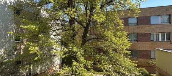 2 rooms Apartment in Breitenfurt bei Wien, Austria No. 174956 17