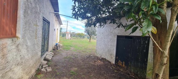 Grundstück in Canas de Senhorim, Portugal 2800m², Nr. 154844 8