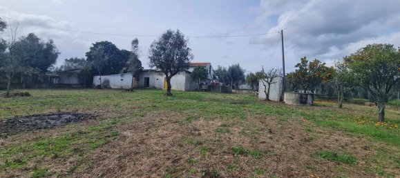 Grundstück in Canas de Senhorim, Portugal 2800m², Nr. 154844 5