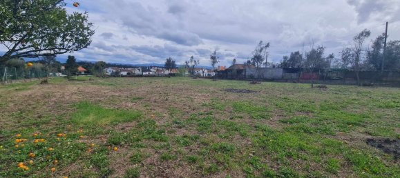 Grundstück in Canas de Senhorim, Portugal 2800m², Nr. 154844 4