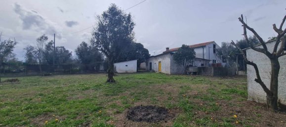 Grundstück in Canas de Senhorim, Portugal 2800m², Nr. 154844 10