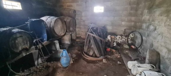 Grundstück in Canas de Senhorim, Portugal 2800m², Nr. 154844 9