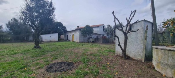 Grundstück in Canas de Senhorim, Portugal 2800m², Nr. 154844 2