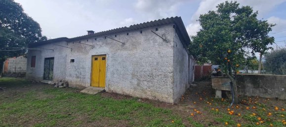 Grundstück in Canas de Senhorim, Portugal 2800m², Nr. 154844 7