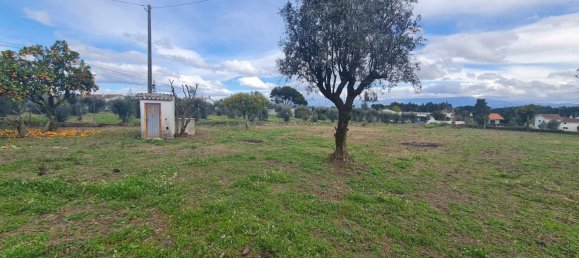 Grundstück in Canas de Senhorim, Portugal 2800m², Nr. 154844 6