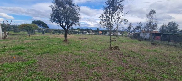 Grundstück in Canas de Senhorim, Portugal 2800m², Nr. 154844 3