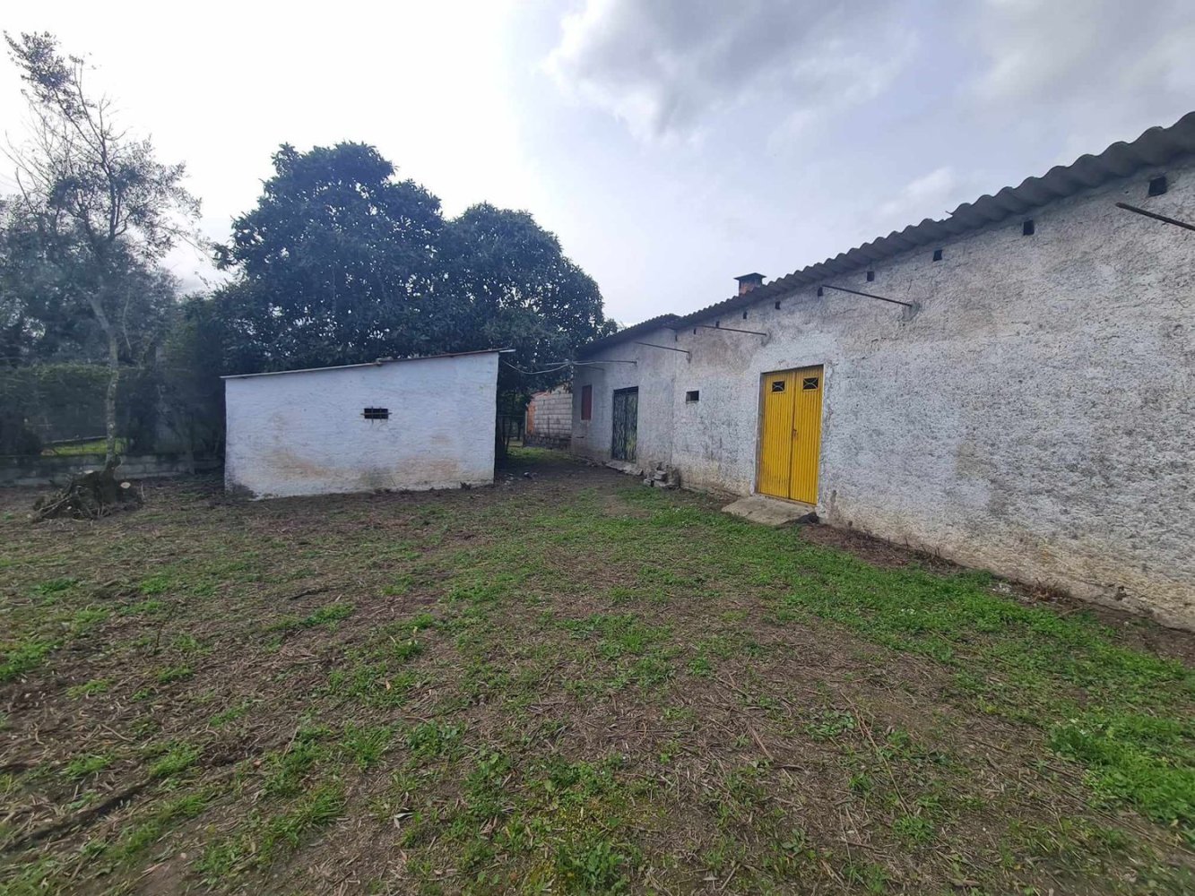 Grundstück in Canas de Senhorim, Portugal 2800m², Nr. 154844