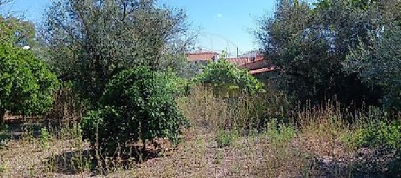 Дом с 5 спальнями в Tolosa, Португалия № 26164 24