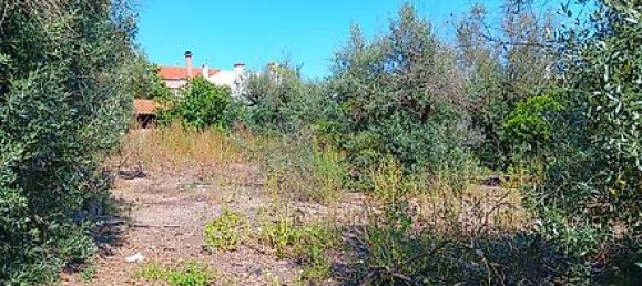 Дом с 5 спальнями в Tolosa, Португалия № 26164 22