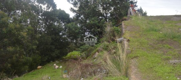 29000m² Land in Santa Cruz, Portugal No. 140394 6