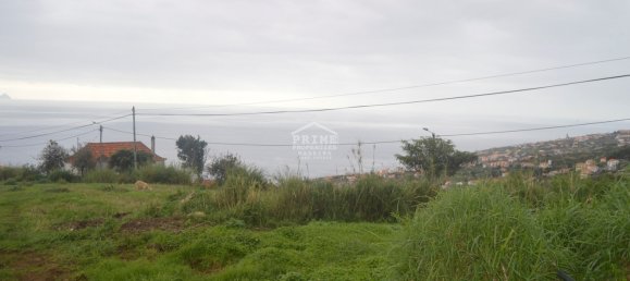 29000m² Land in Santa Cruz, Portugal No. 140394 5