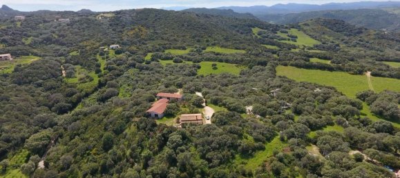 Вилла с 10 комнатами в Палау, Италия № 257035 5