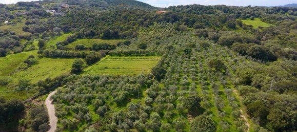 Вилла с 10 комнатами в Палау, Италия № 257035 2