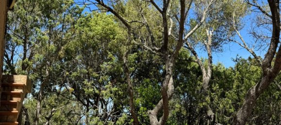 Вилла с 10 комнатами в Палау, Италия № 257035 27