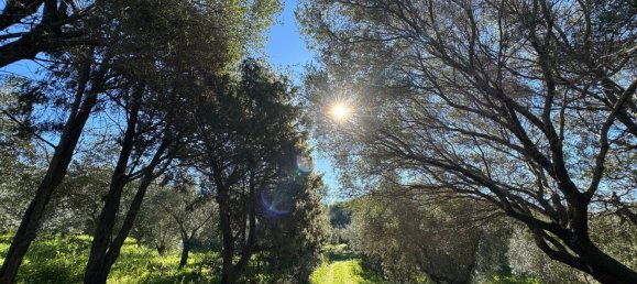 Вилла с 10 комнатами в Палау, Италия № 257035 9