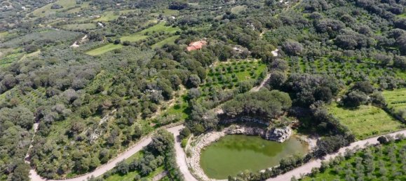 Вилла с 10 комнатами в Палау, Италия № 257035 4