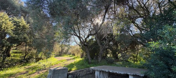 Вилла с 10 комнатами в Палау, Италия № 257035 31