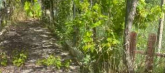 3 rooms House in Velletri, Italy No. 190506 2