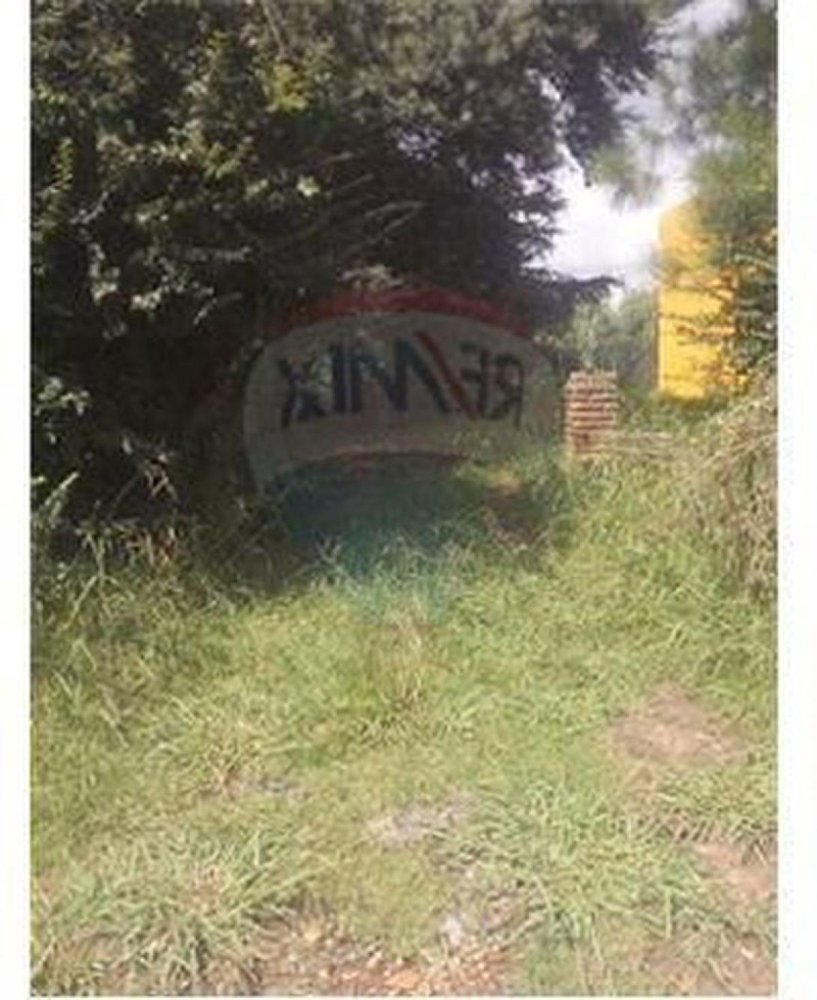  Land in Pilar, Argentina No. 31735