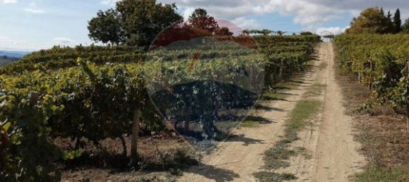 8 bedrooms House in Cumieira, Portugal No. 126256 20