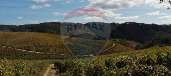 8 bedrooms House in Cumieira, Portugal No. 126256 18