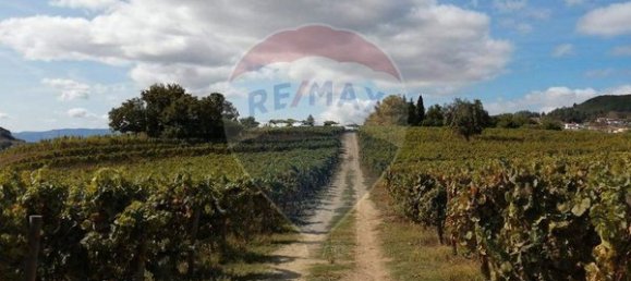 8 bedrooms House in Cumieira, Portugal No. 126256 21