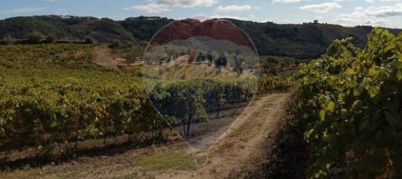 8 bedrooms House in Cumieira, Portugal No. 126256 27