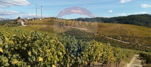 8 bedrooms House in Cumieira, Portugal No. 126256 26