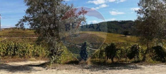 8 bedrooms House in Cumieira, Portugal No. 126256 4