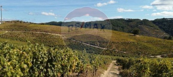 8 bedrooms House in Cumieira, Portugal No. 126256 8