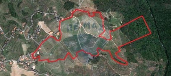 8 bedrooms House in Cumieira, Portugal No. 126256 5