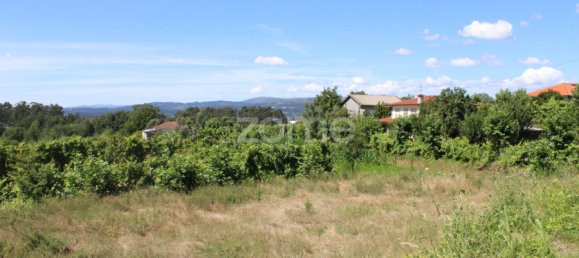 Grundstück in Quinchaes, Portugal, Nr. 32909 8