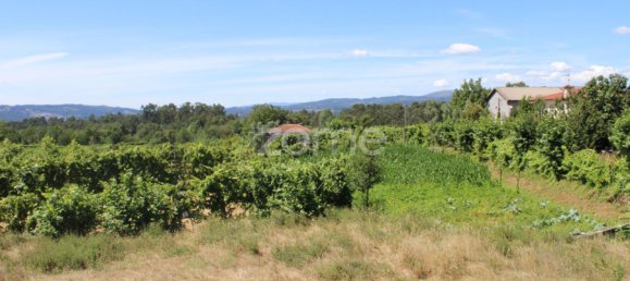 Grundstück in Quinchaes, Portugal, Nr. 32909 12