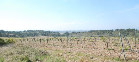  قطعة أرض في Garriguella, Spain 561متر مربع رقم 73544 2