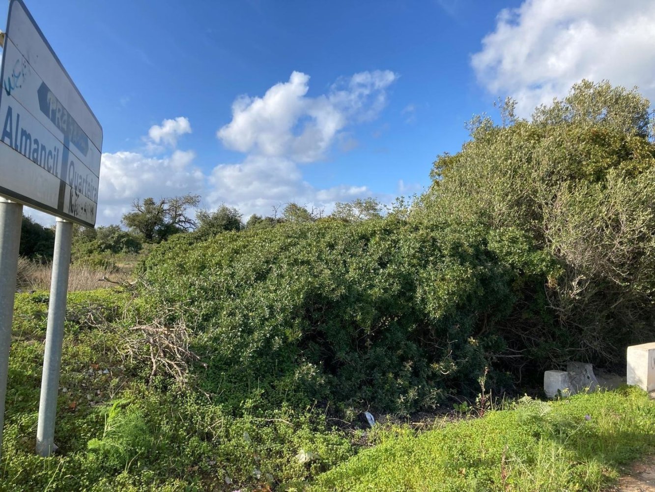  Land in Quarteira, Portugal No. 331223