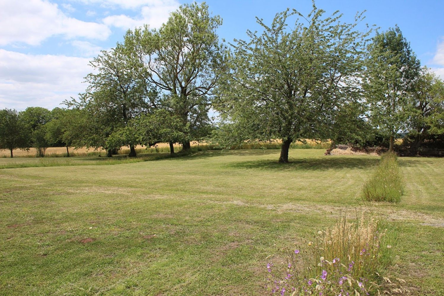 972m² Land in Ognes, France No. 81532