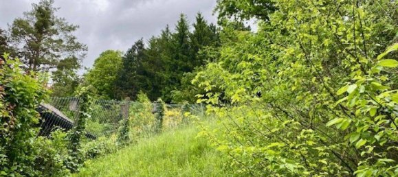 3 rooms House in Kirchstetten, Austria No. 151857 35