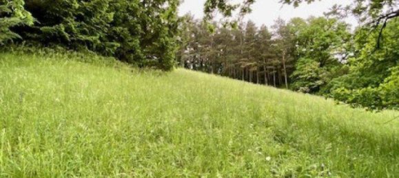 3 rooms House in Kirchstetten, Austria No. 151857 29