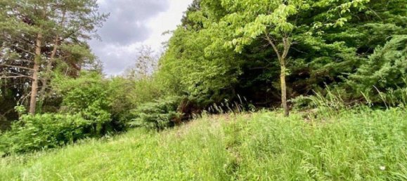 3 rooms House in Kirchstetten, Austria No. 151857 13