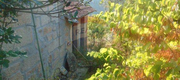 3 Schlafzimmer Haus in Celorico da Beira, Portugal, Nr. 29084 3