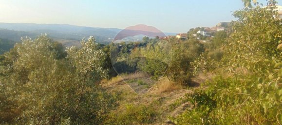 3 Schlafzimmer Haus in Celorico da Beira, Portugal, Nr. 29084 2