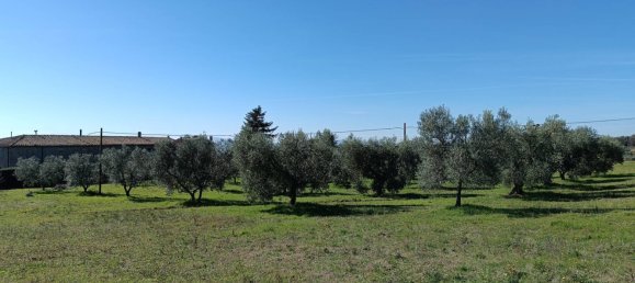 6 bedrooms House in Roccastrada, Italy No. 140800 13