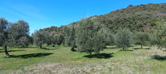 6 bedrooms House in Roccastrada, Italy No. 140800 14