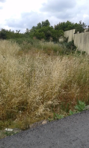 Terreno em São João da Madeira, Portugal 600 m² N.º 92791